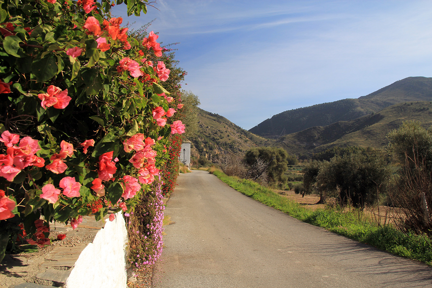 The street where the suites are situated