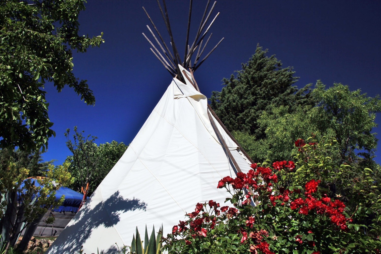 Detail of the Teepee