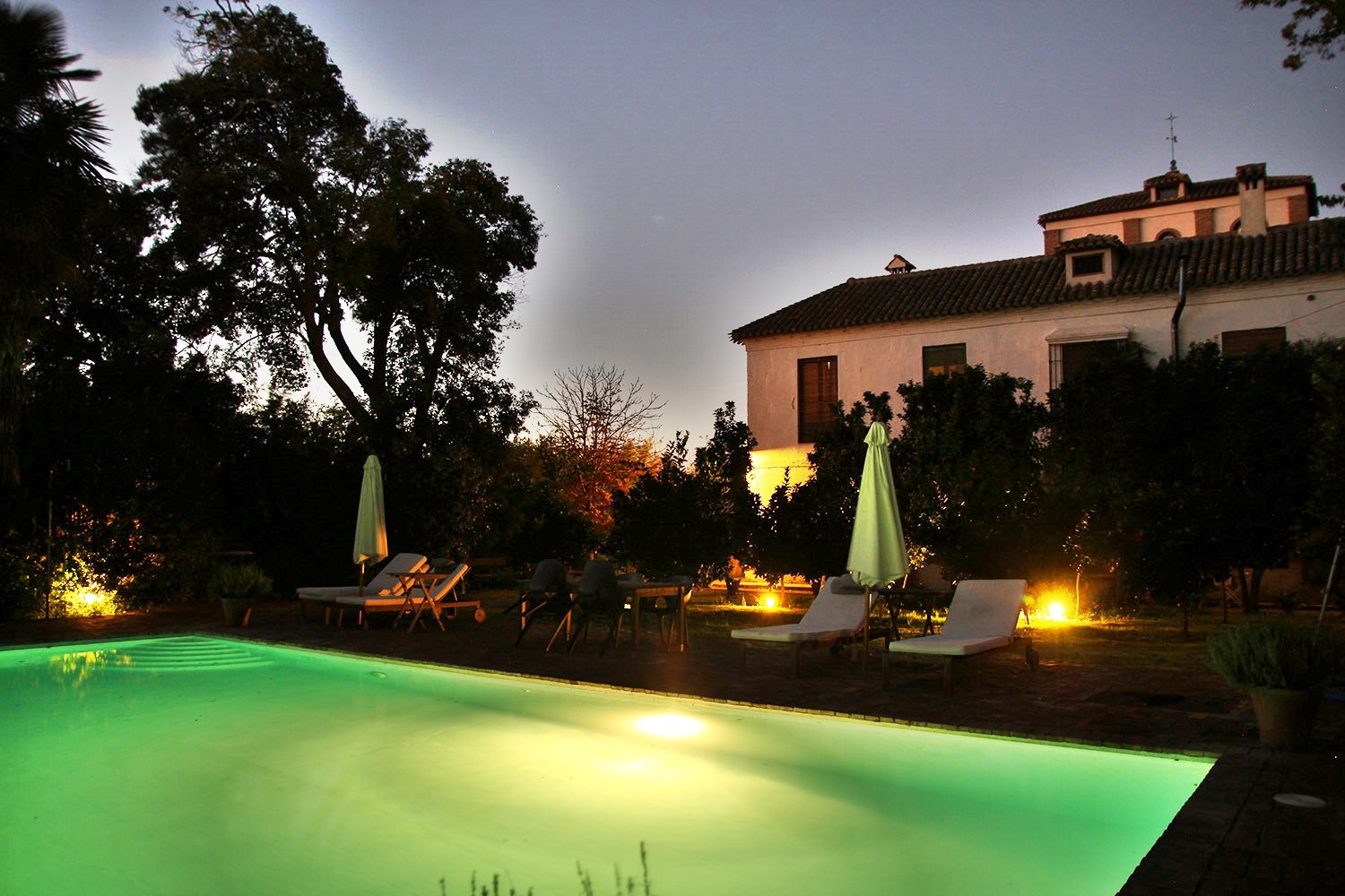 The swimming pool by night