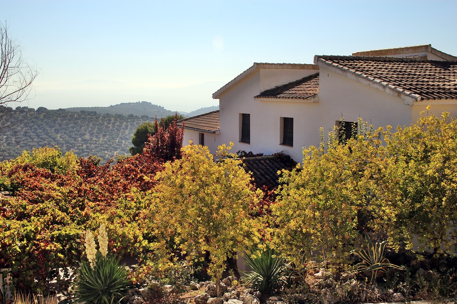 The front of the farmhouse