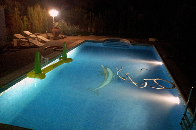 The swimming pool