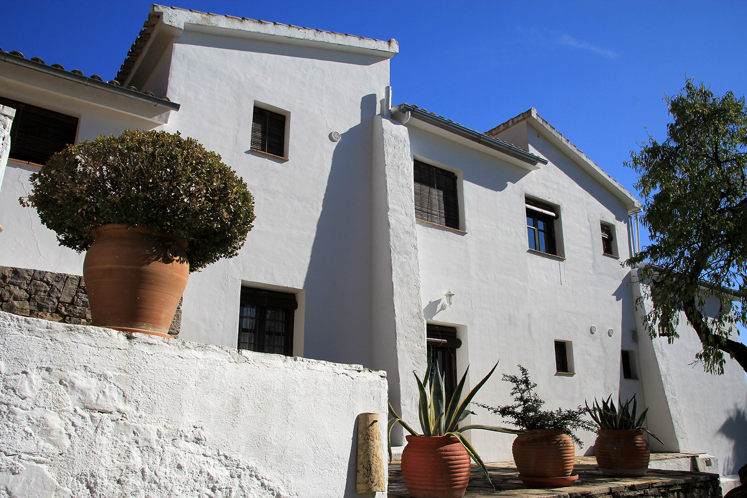 The back of the farmhouse