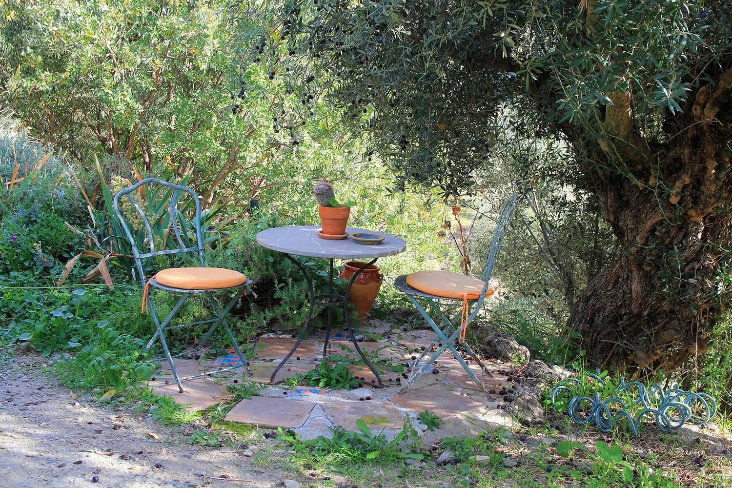 The terrace in front of the cabin