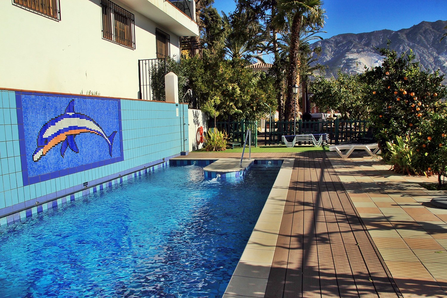 The communal swimming pool