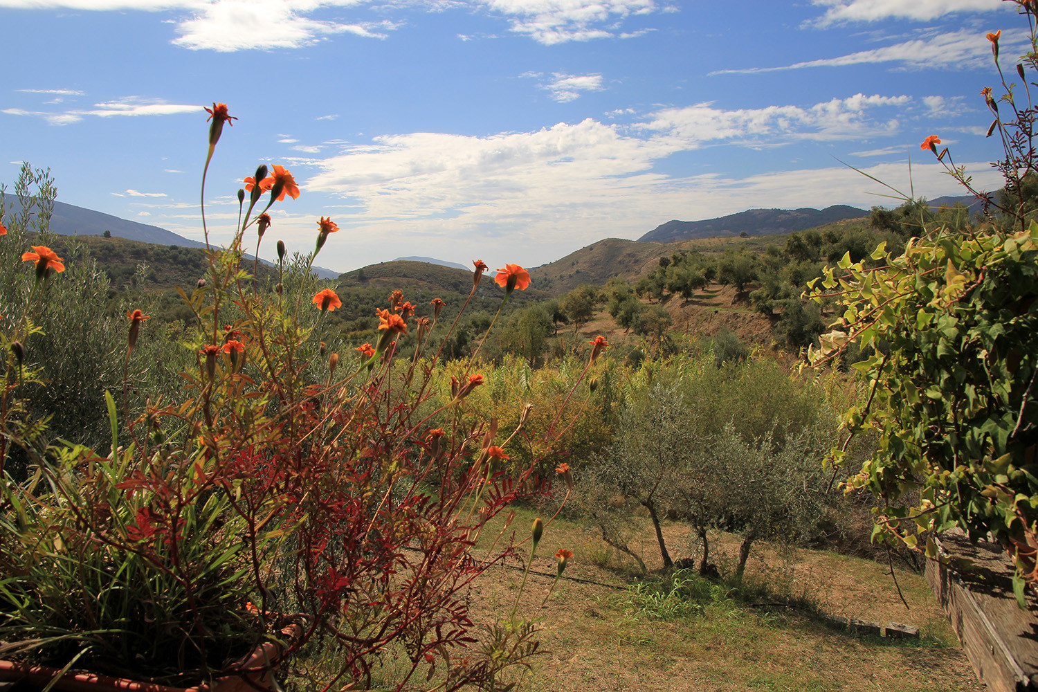 The views from the yurt