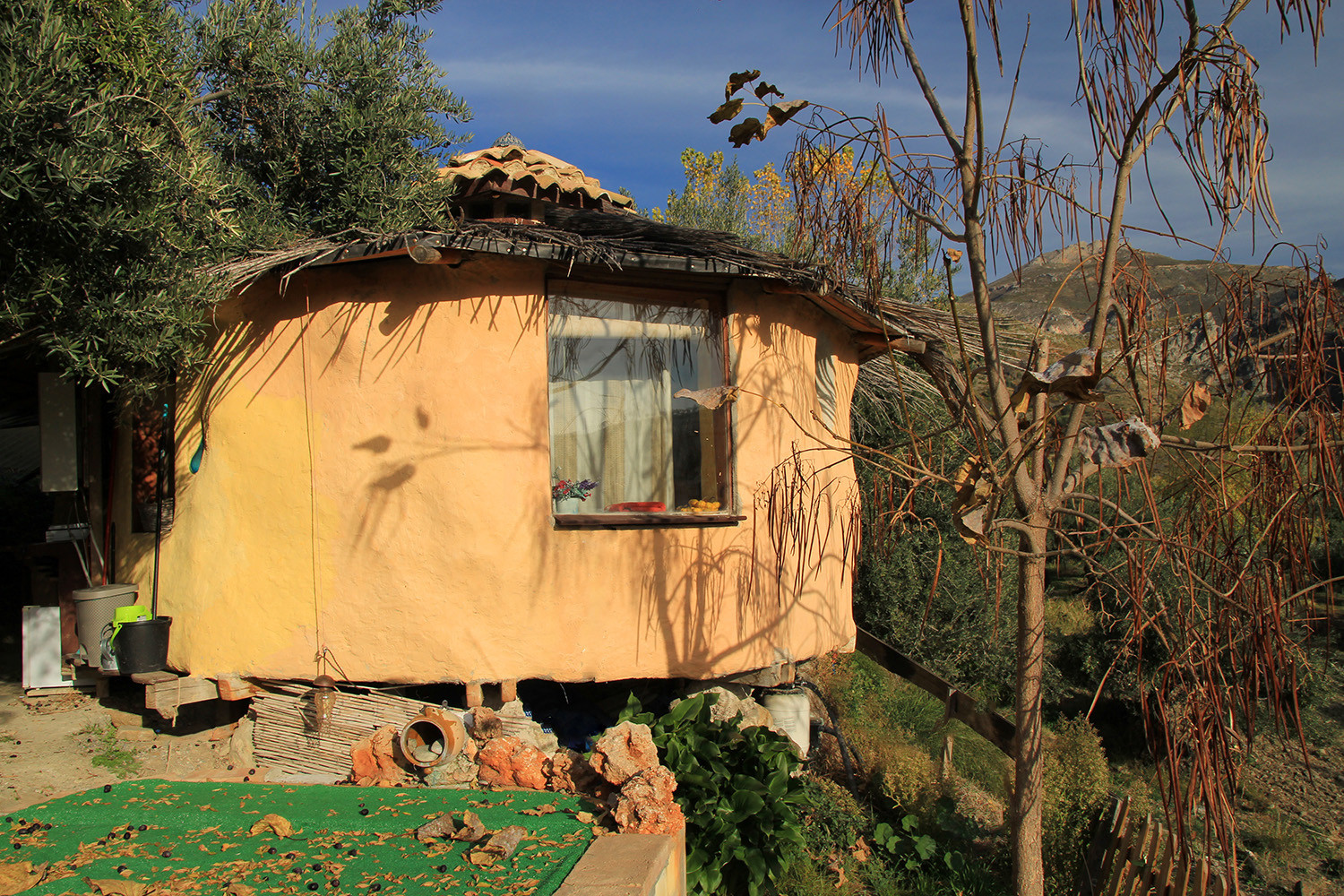 Back view of the cabin