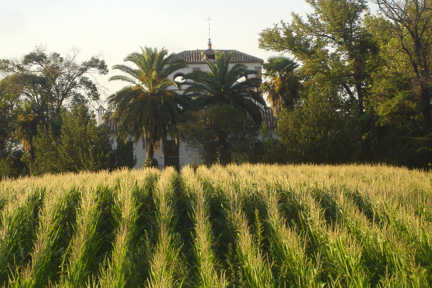 The fields around the farmhouse