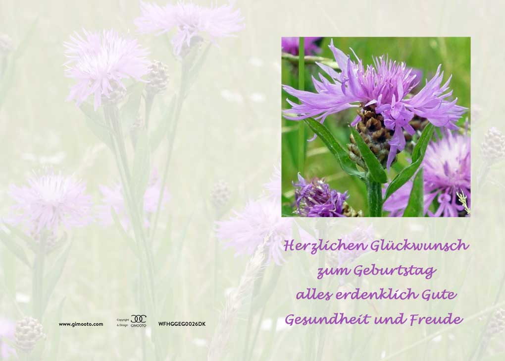 Unsere Kukana Hat Heute Geburtstag Seite 2 Rheuma Online