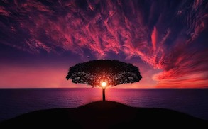 why it is useful to ask a psychic for a reading symbolized by a sunset