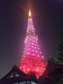 開業55周年の東京タワー