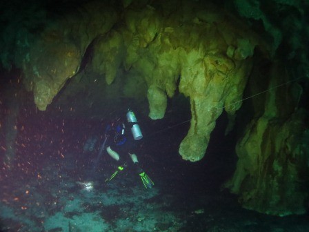 Cenotes Playa del Carmen with Albertos Scuba