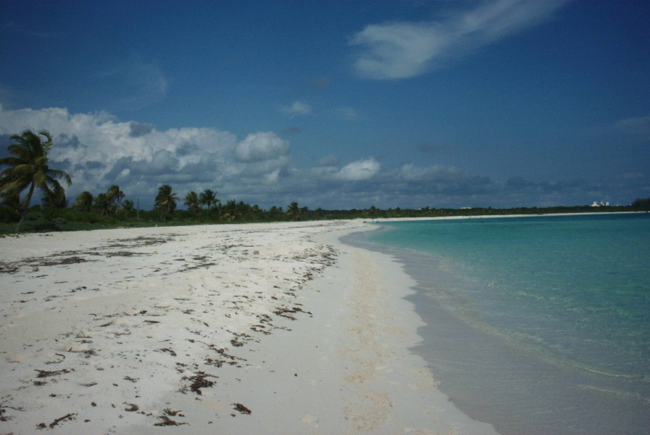 Playa del Carmen - Albertos Scuba