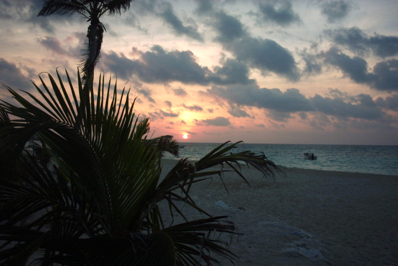 Good Morning Playa del Carmen - Albertos Scuba