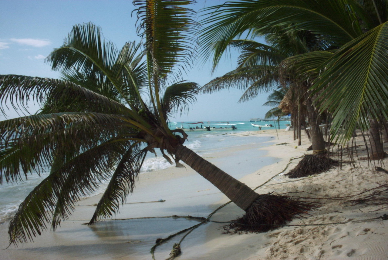 Playa del Carmen - Albertos Scuba