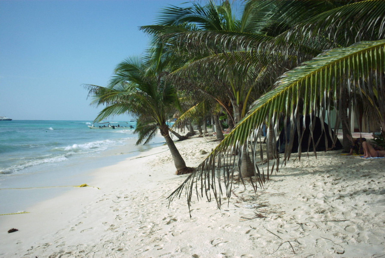 Playa del Carmen - Albertos Scuba