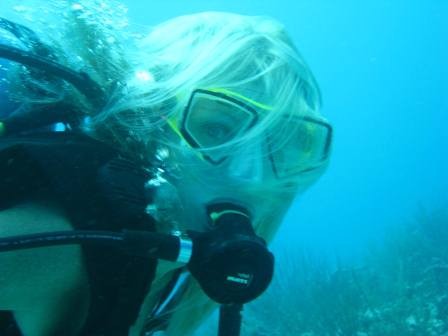 Playa del Carmen Diving- Albertos Scuba