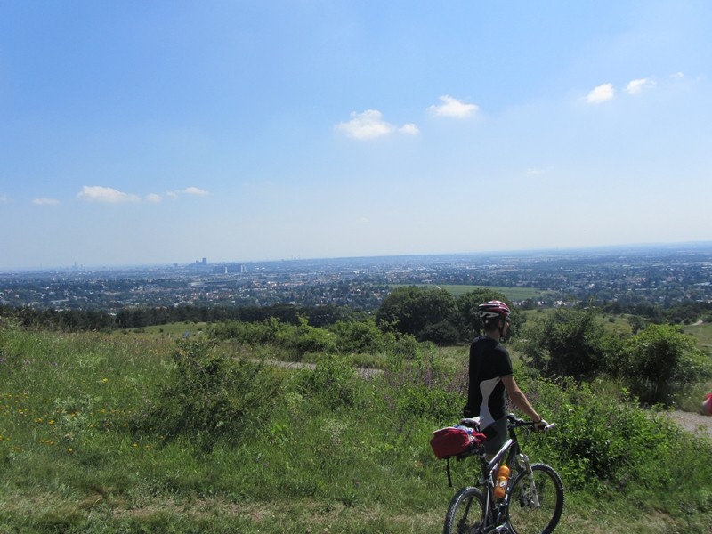 Blick zurück auf Wien 