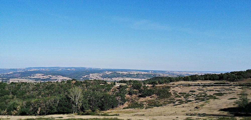 Wieder viel trockenes Land