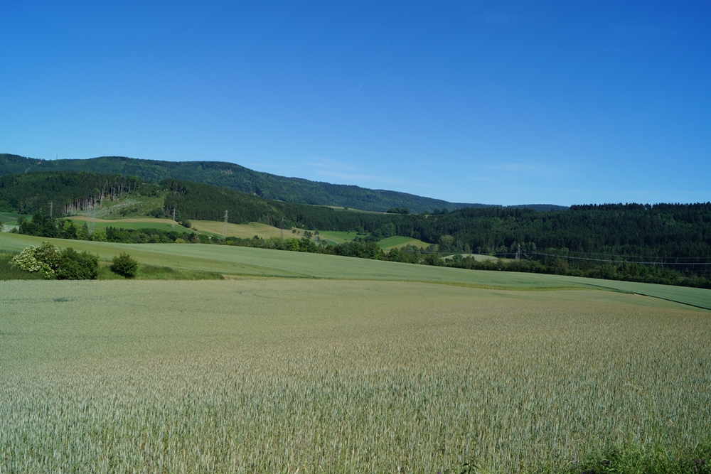 Auf dem Weg Richtung Blumberg