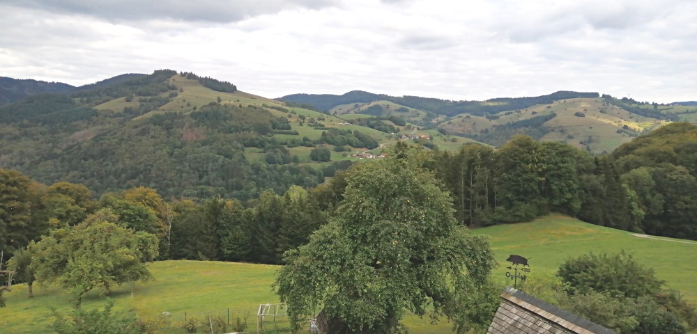 Blick vom Hirtenbrunnen ins Wiesental