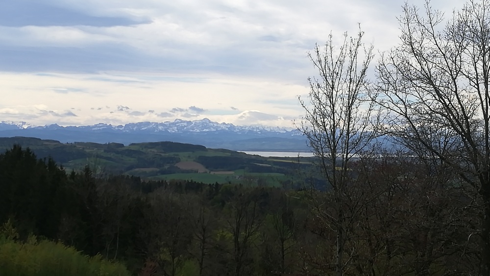 Ausblick vom Höchsten im Frühjahr