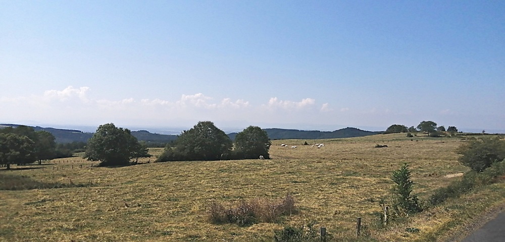 Ziemlich verbrannte Wiesen