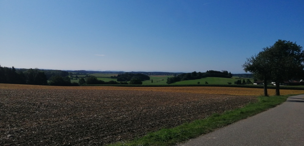 Jetzt ist August 