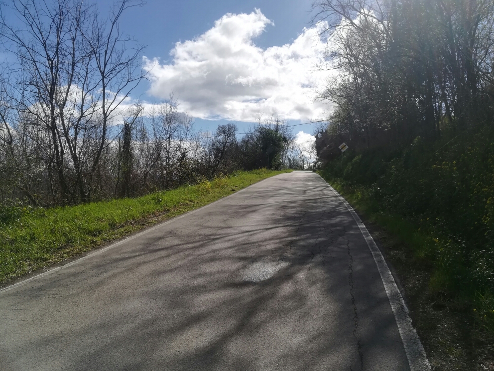 Hinauf nach Bertinoro