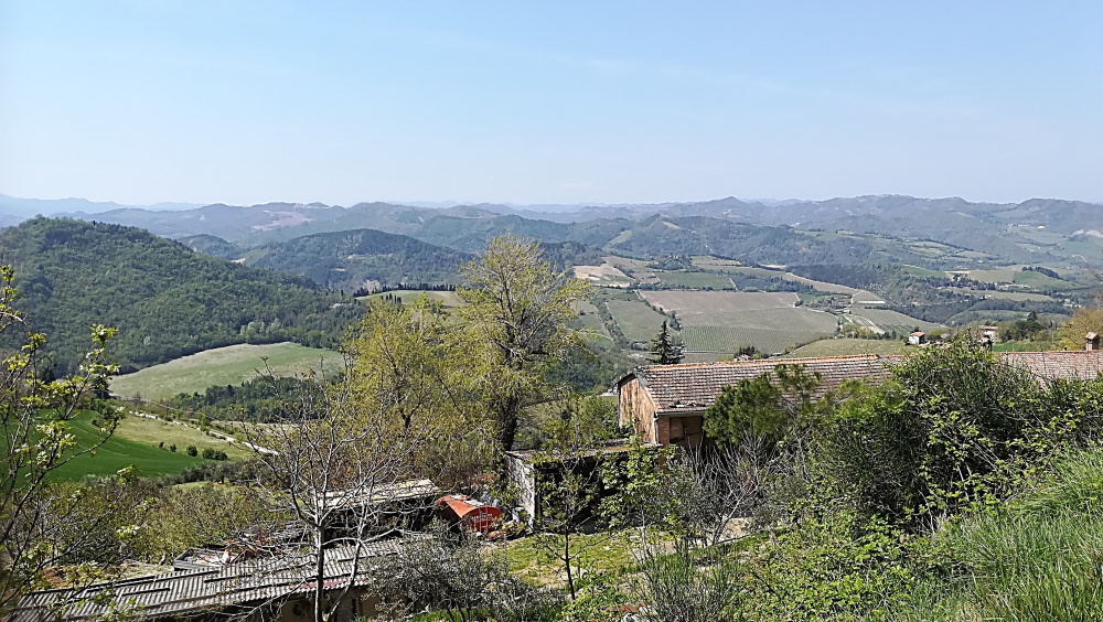 Dovadola