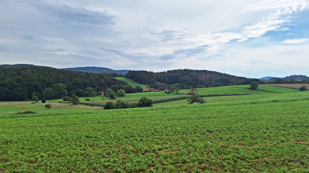 Über die Höhen des Odenwaldes