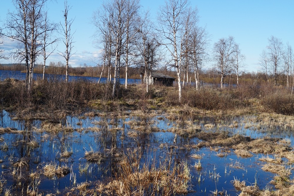 Alles Wasser drumherum