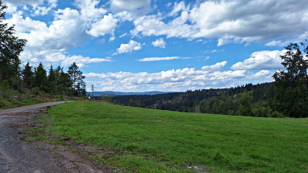 Auf der Höhe des Thüringer Waldes