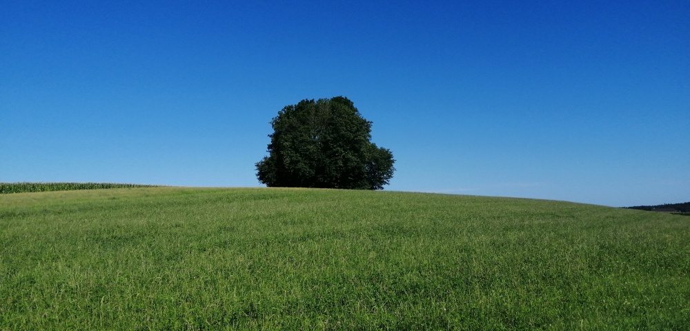 Zwischen Wattenweiler und Hagnaufurt