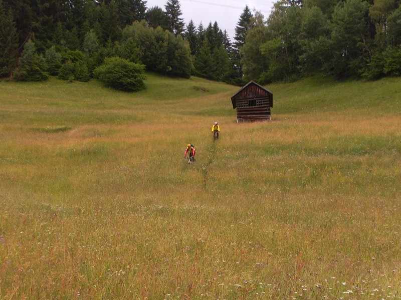 Wenn das der Bauer sieht