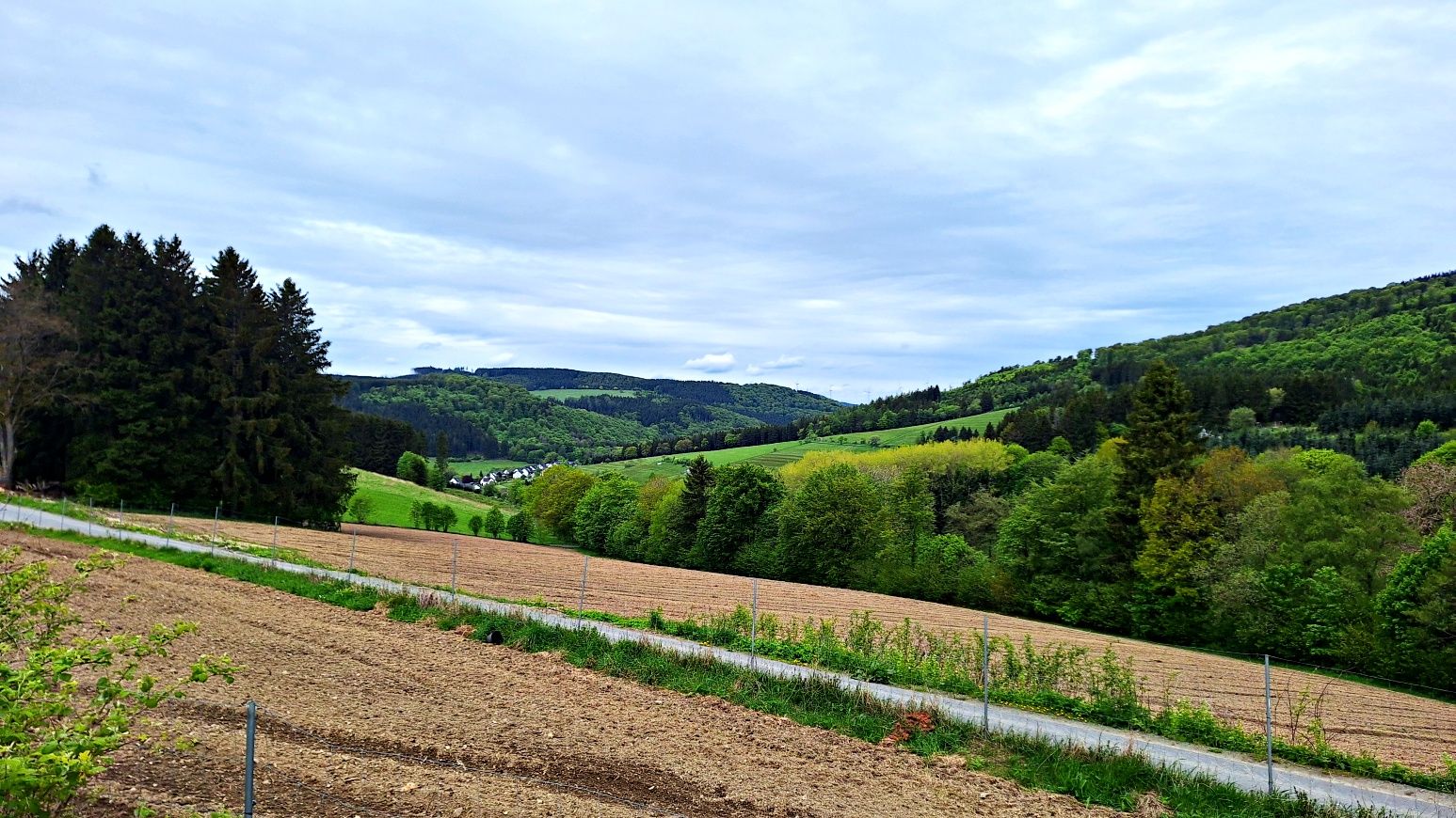 Anfahrt zum Langenberg bei Niedersfeld im Sauerland