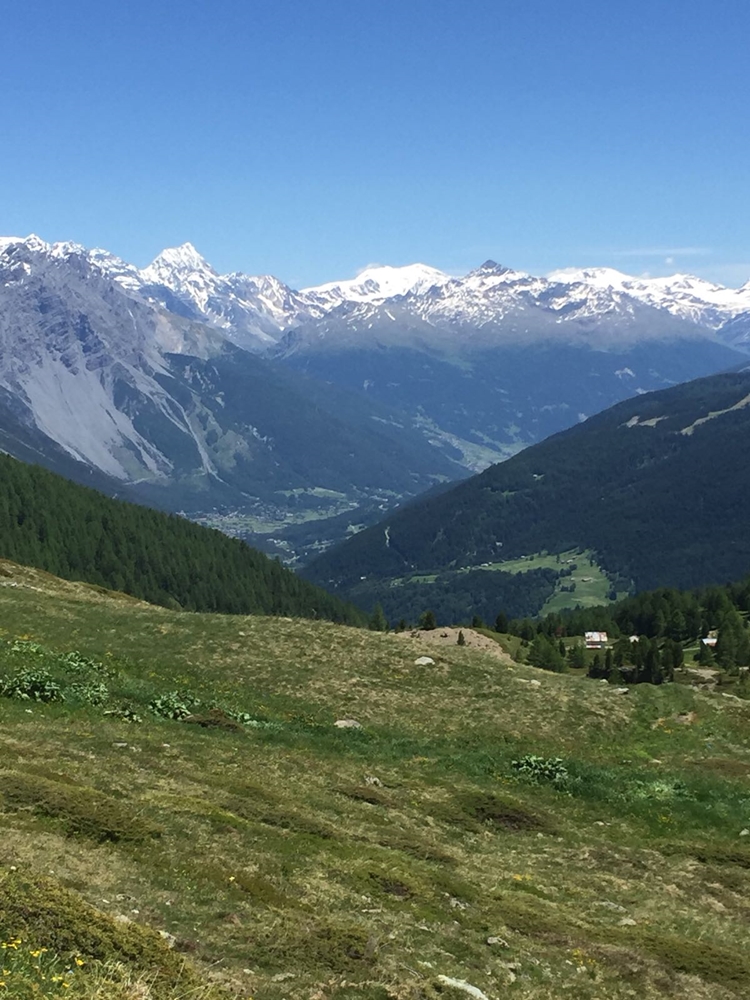 Blick aufs Münstertal