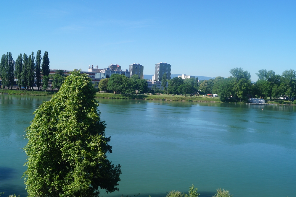 Und das ist wieder der richtige Rhein