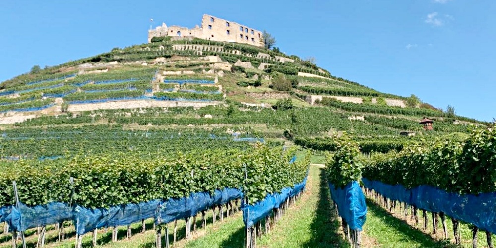 Burg Staufen