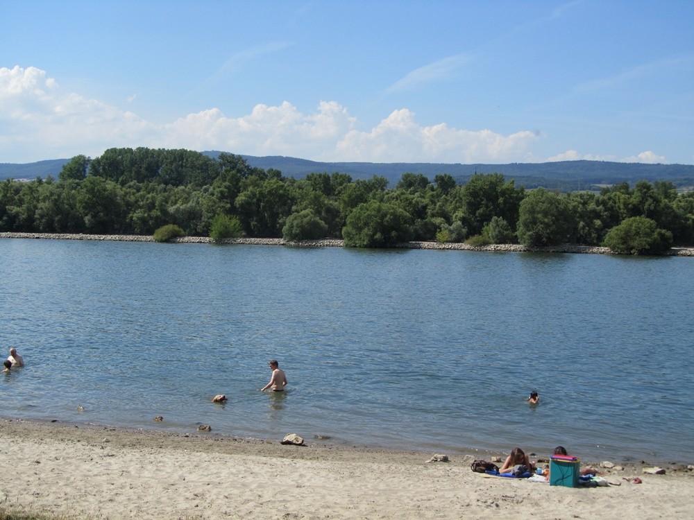 Baden im Rhein bei Ingelheim