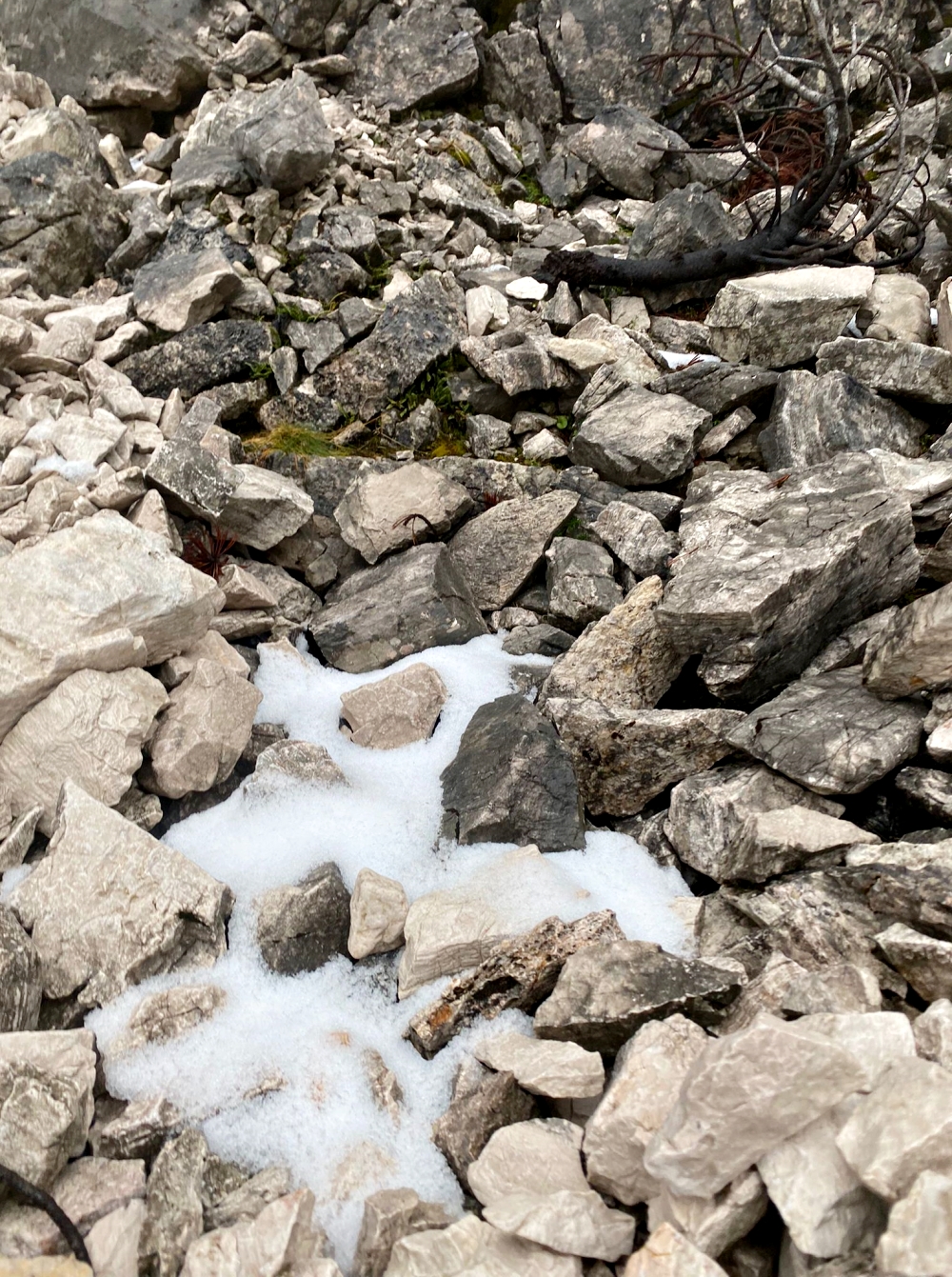 Die ersten Schneeflecken vor der Knorrhütte