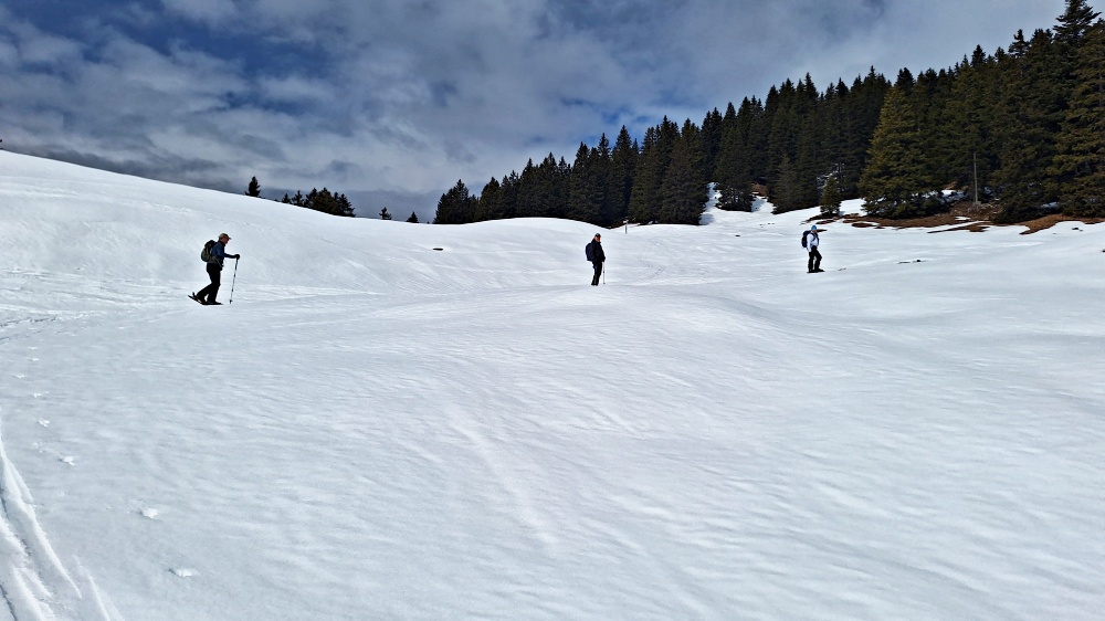 Endlich den Wald hinter uns