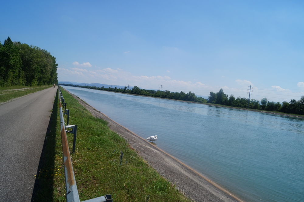 Kurz vor Weil am Rhein