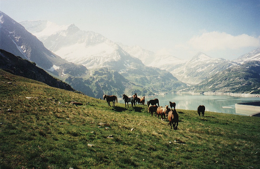 Kurz vor dem Stausee