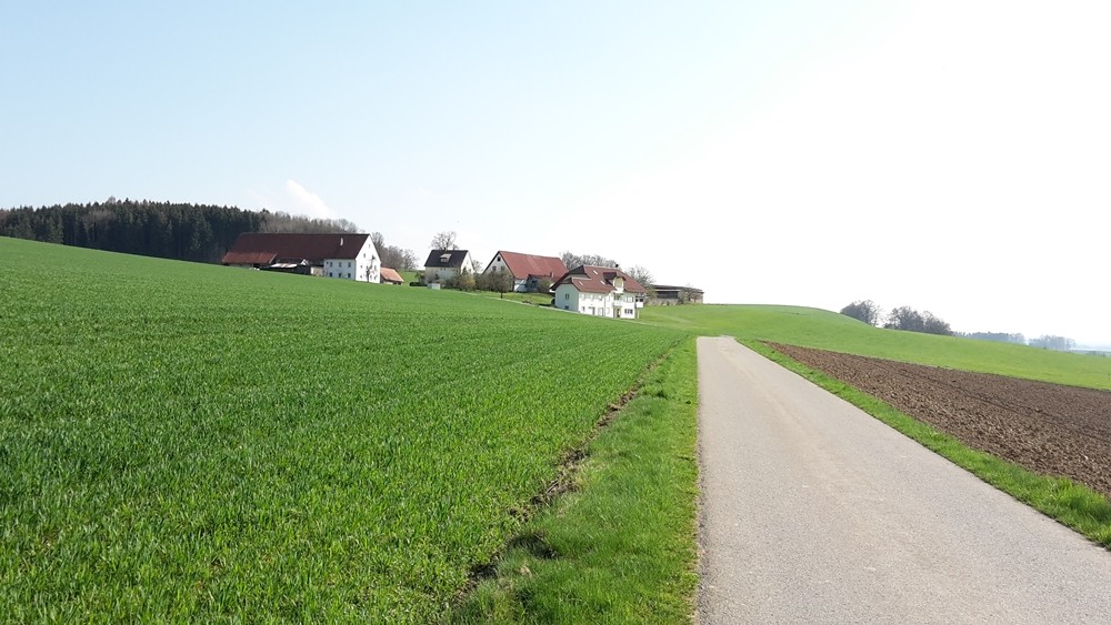 Blick zurück auf Rehmoos