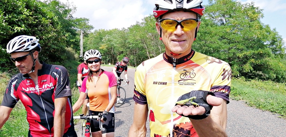 Eine Gottesanbeterin auf Herberts Hand