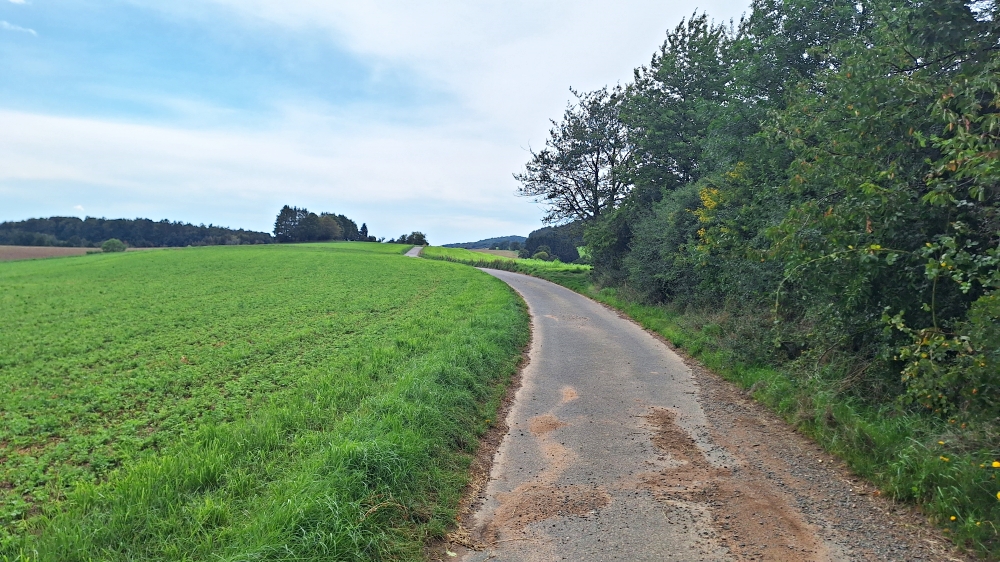 Einsame Wege