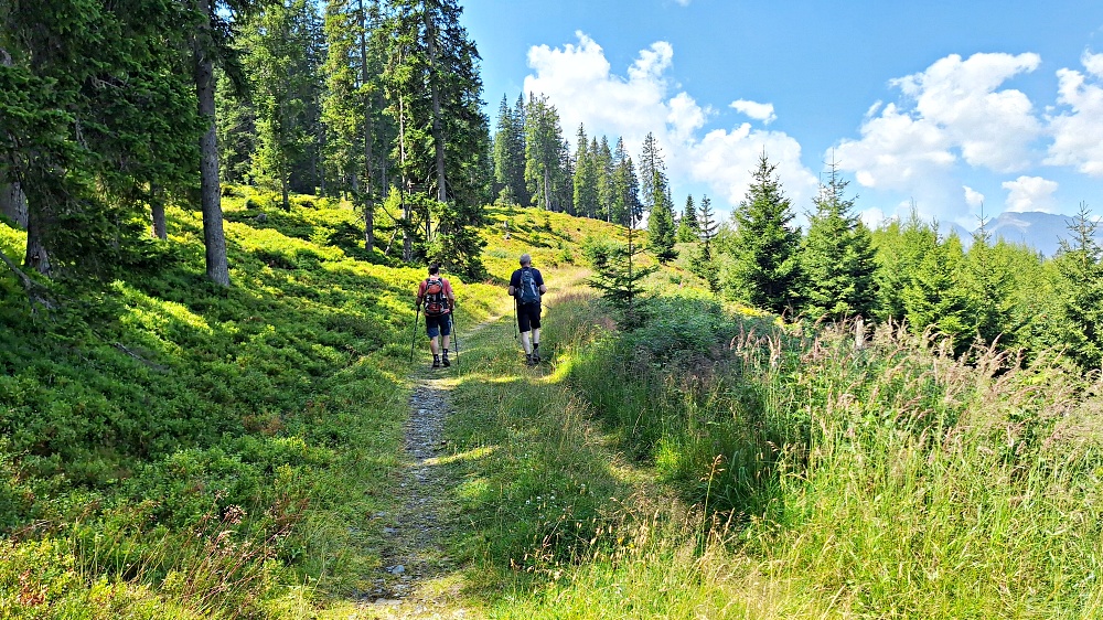 In Richtung Kalcher Alm 