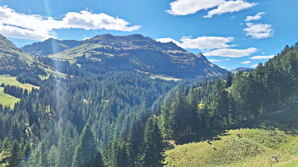 Die Galerie nach Faschina
