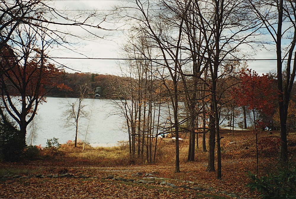 Blick auf den See