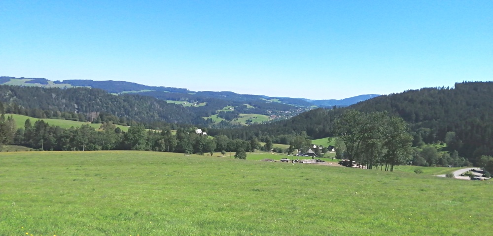 Blick in Richtung Hinterzarten